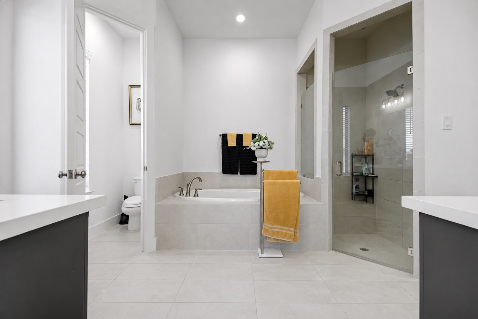 Primary bath tub and walk-in shower
